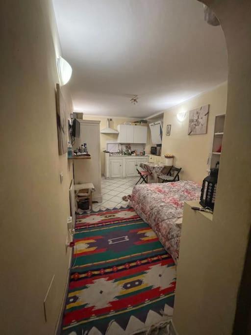 Апартаменты Monolocale Carino Флоренция Экстерьер фото
